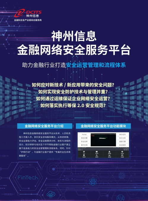 神州信息金融網(wǎng)絡安全服務平臺技術(shù)咨詢